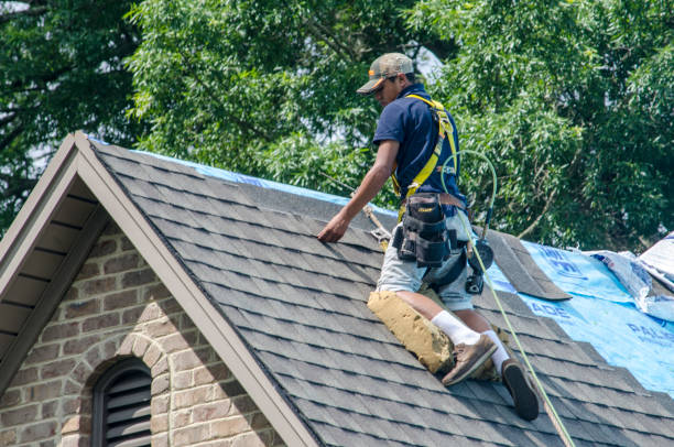 Best Roof Repair Services  in Lake Winnebago, MO